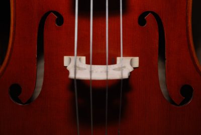 Close up shot of a large string instrument, showing the bridge, strings, and f-holes