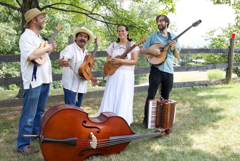 Three men and a woman stand outdoors in front of a rail fence, all holding stringed instruments, with a string bass and accordion on the ground in front of them
